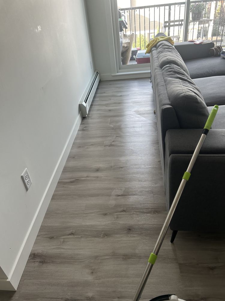 Living room floor after cleaning