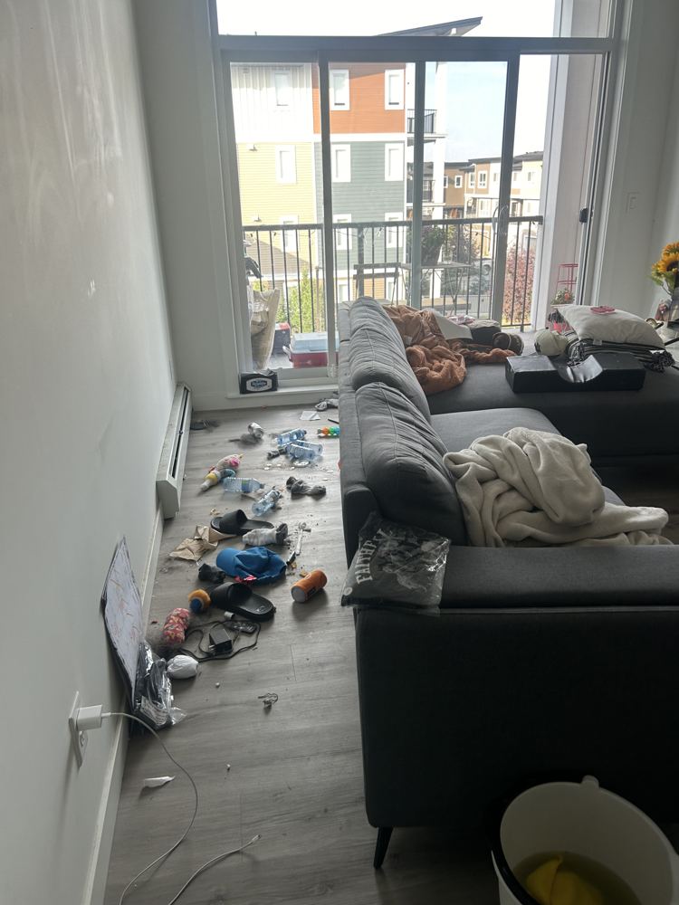 Living room floor before cleaning