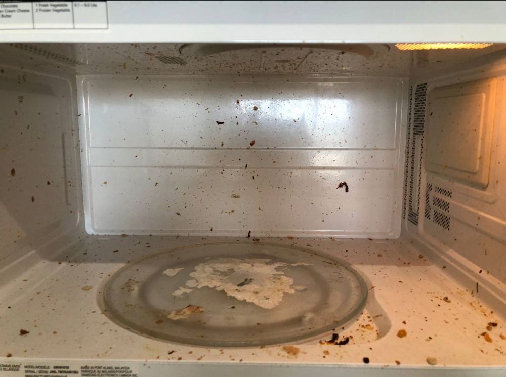 Microwave before cleaning