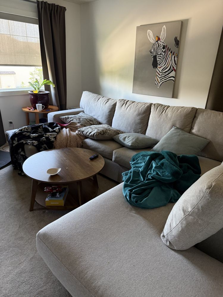 Living room before cleaning